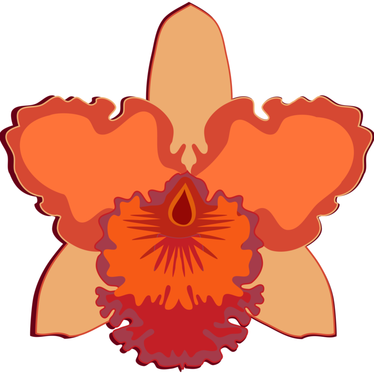 Cattleya Orchids Flowering Plant Moth Orchids Cut Flowers - Cattleya Orchids (750x750), Png Download