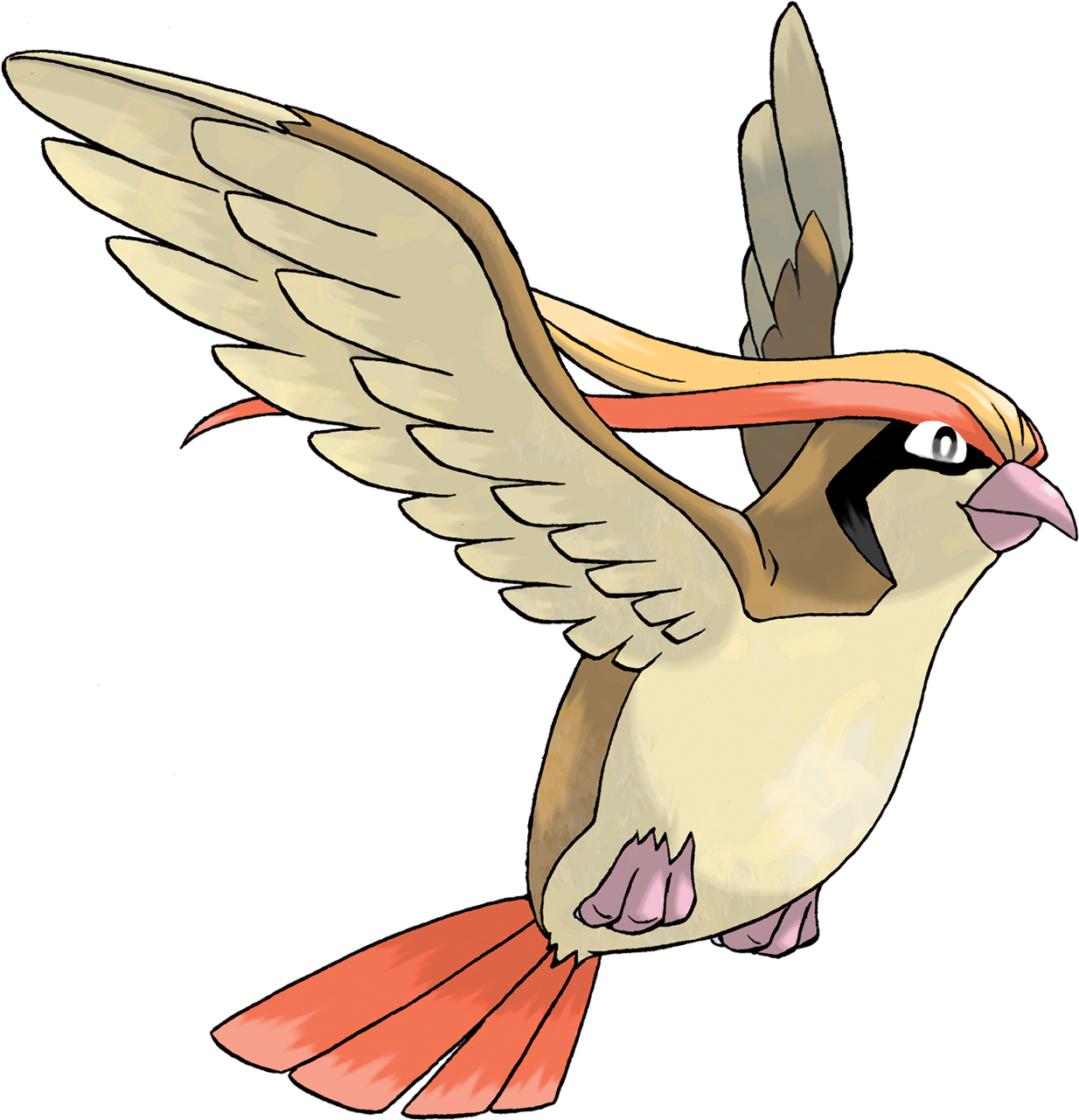 Pidgeot - Pokemon Pidgeot (1200x1200), Png Download
