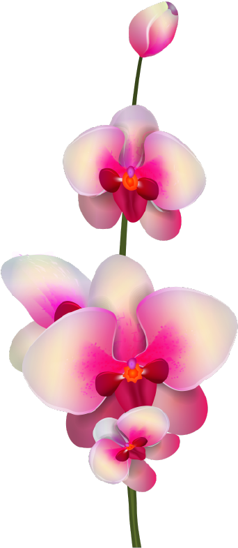 Png Клипарт "realistic Vector Delicate Orchids" - Artificial Flower (1394x1420), Png Download
