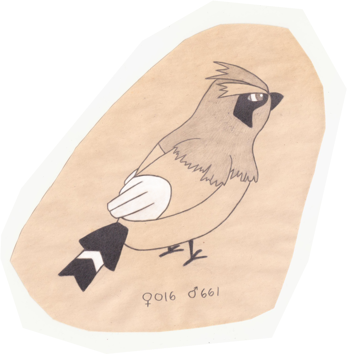 Clip Art Free Library The Pokemon Ornithologist Pidgey - Pokémon (1280x1435), Png Download