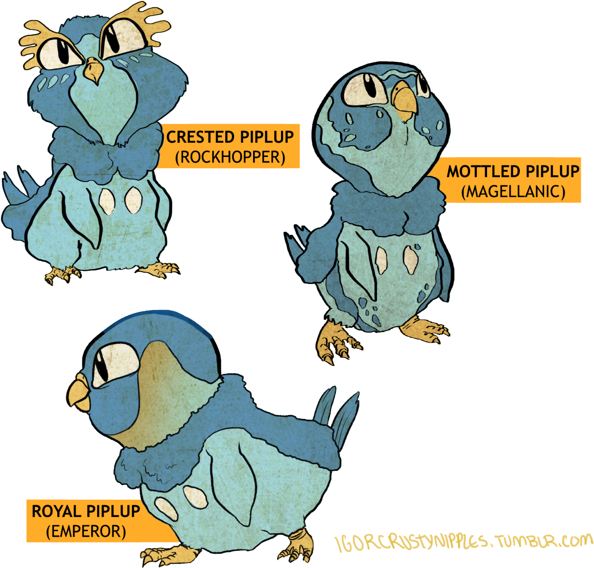 Have Some Fat Penguin Species - Piplup Variants (1280x1232), Png Download