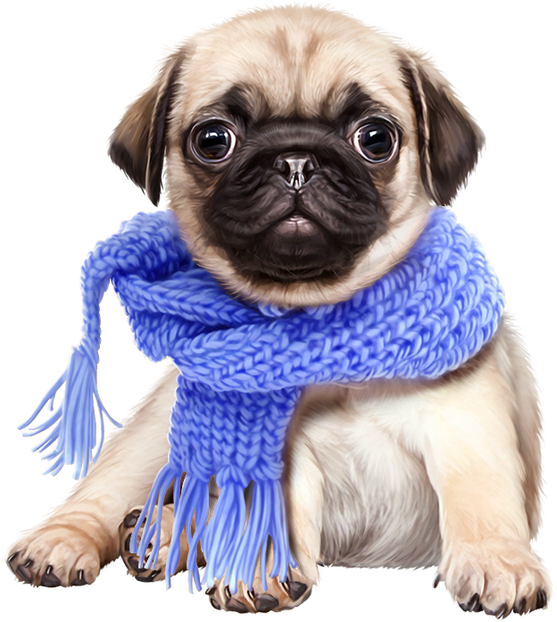 Graphic Png Liveinternet - Cute Dog Dog Png (624x697), Png Download