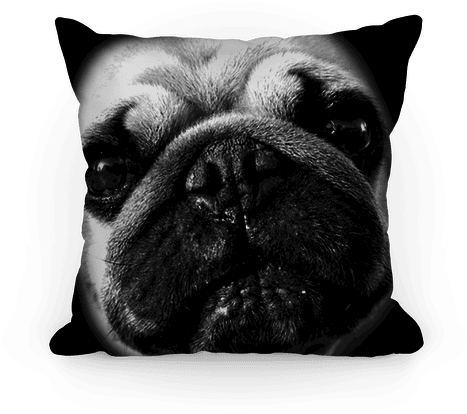 Pug Face Pillow - Going For A Nap (484x484), Png Download