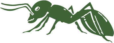 Ant - Art Print: Pop Ink - Csa Images' Close Up Of Ant, 61x41cm. (504x504), Png Download