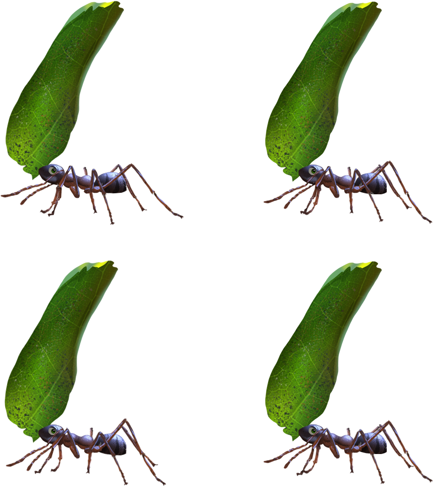 Ant2 - Crane Flies (1024x1024), Png Download