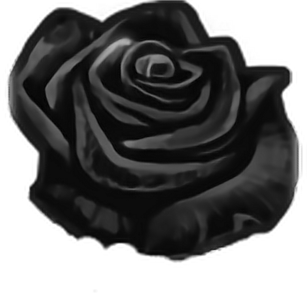 Mq Black Rose Roses Flowers Flower - Rose (1024x1024), Png Download