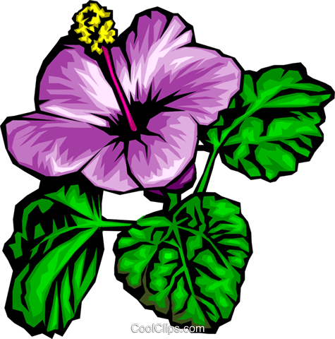 Purple Flowers Royalty Free Vector Clip Art Illustration - Alcatraces Faciles En Punto De Cruz (475x480), Png Download