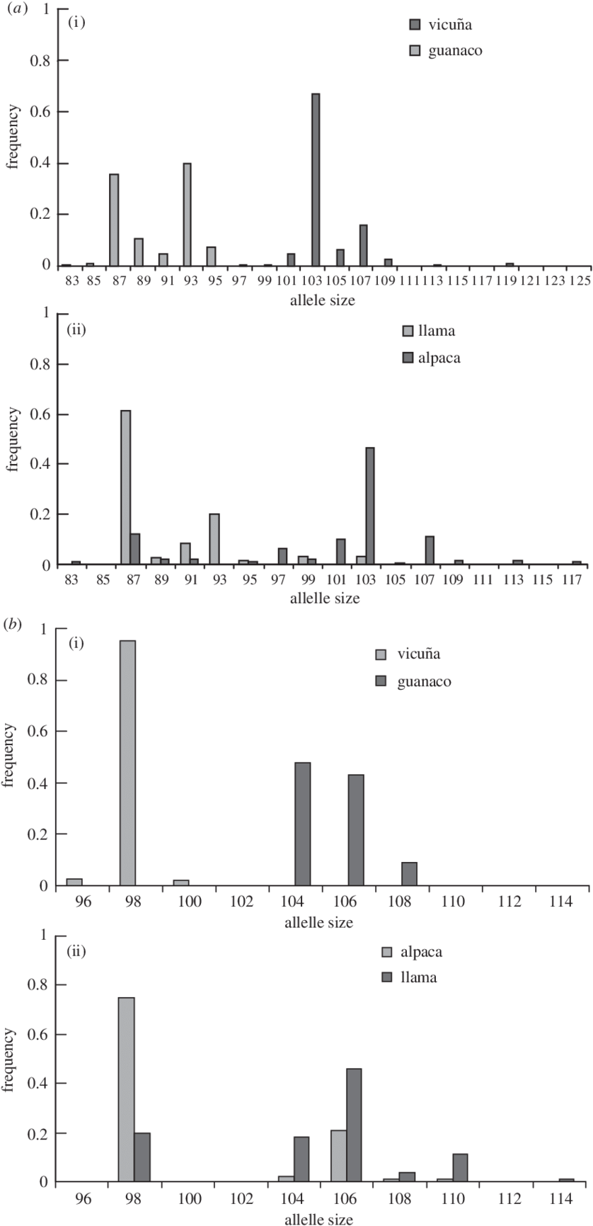Allele Frequency Histograms For A Large Sample Of Vicu - Llama (850x1744), Png Download