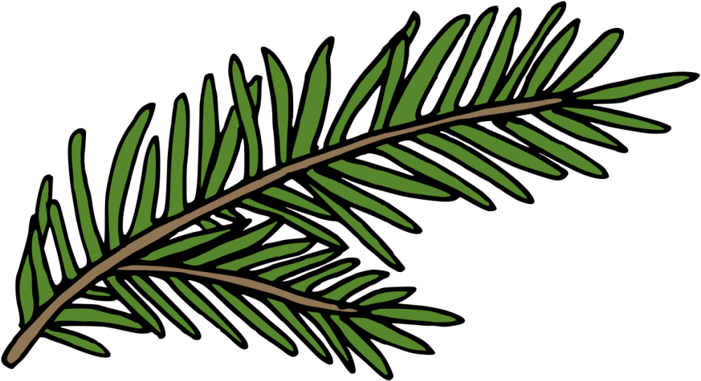 A Hand Painted Green Fern Winter Transparent Decorative - Green (1024x1024), Png Download