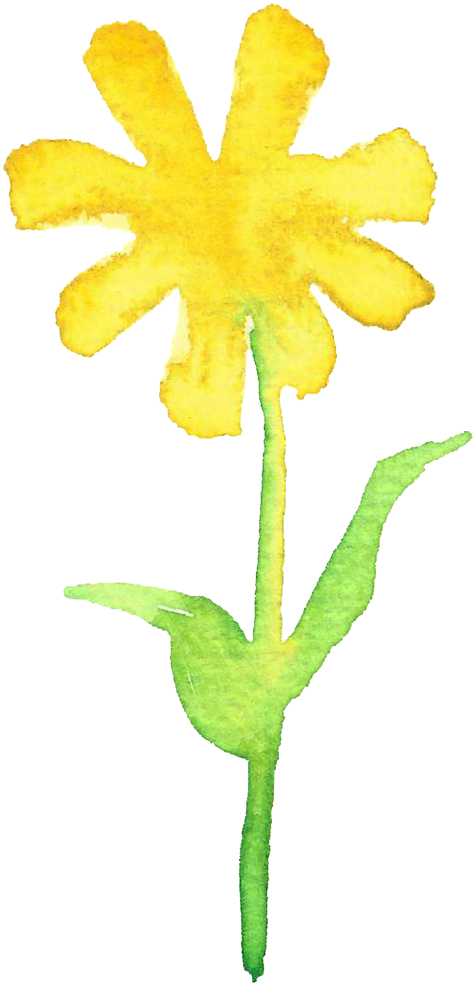 Transparent Ornamental For The Branches Of Yellow And - Watercolor Painting (1024x2041), Png Download