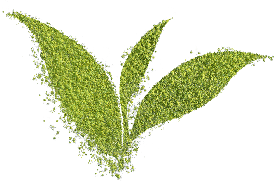 Matcha Powder Leaf - Powder (1000x648), Png Download