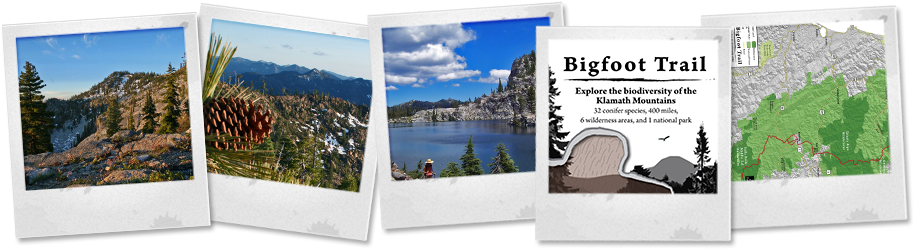 Bigfoot-trail - Bigfoot Trail Mapset V2. 2015 (920x250), Png Download