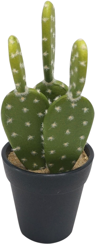 Bidkhome Prickly Pear Cactus Faux Plant In Pot (set (921x921), Png Download