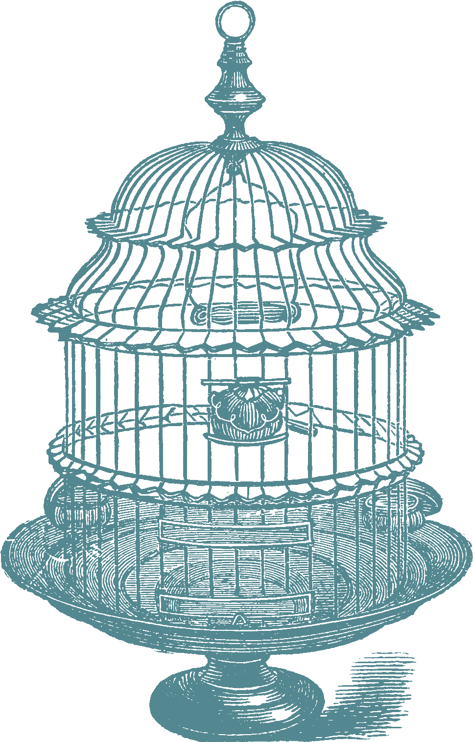 Jpeg - Birdcage Vintage Png (973x1528), Png Download