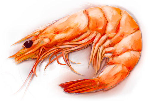 Shrimp Head Png (500x343), Png Download