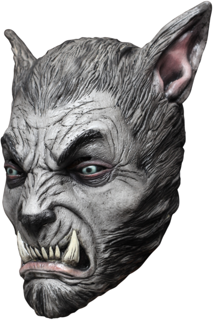 Wolfman Werewolf Ghoulish Deluxe Adult Latex Silver - Mask Head Werewolf Beast Silver Wolf (428x640), Png Download