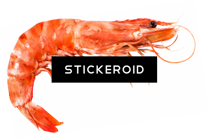 Shrimp Shrimps - Shrimp (713x476), Png Download