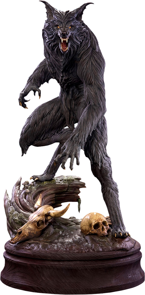Werewolf 1/4 Scale Statue - Howling Statue 1/4 Werewolf 61 Cm (593x1205), Png Download