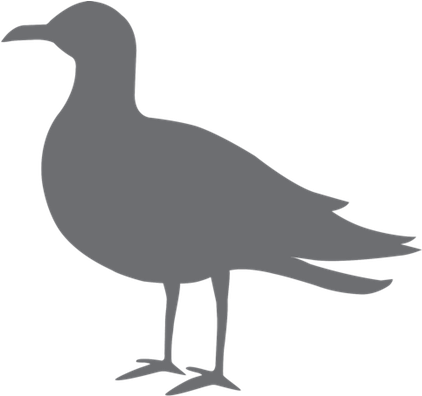 Seagull Bakery 3724 Southside Blvd Jacksonville, Fl - Double Crested Cormorant (425x427), Png Download