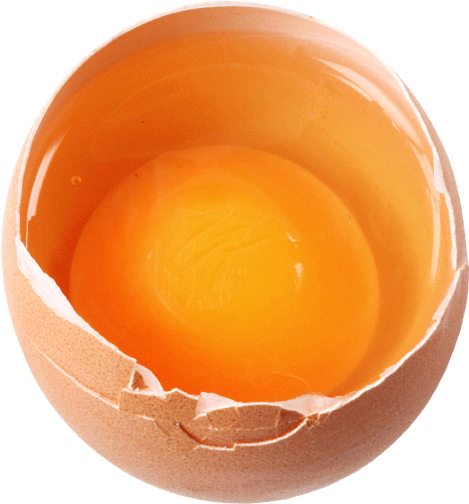 Egg (552x600), Png Download
