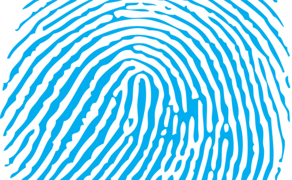 Fingerprint-pa - Fingerprint Vector (580x358), Png Download