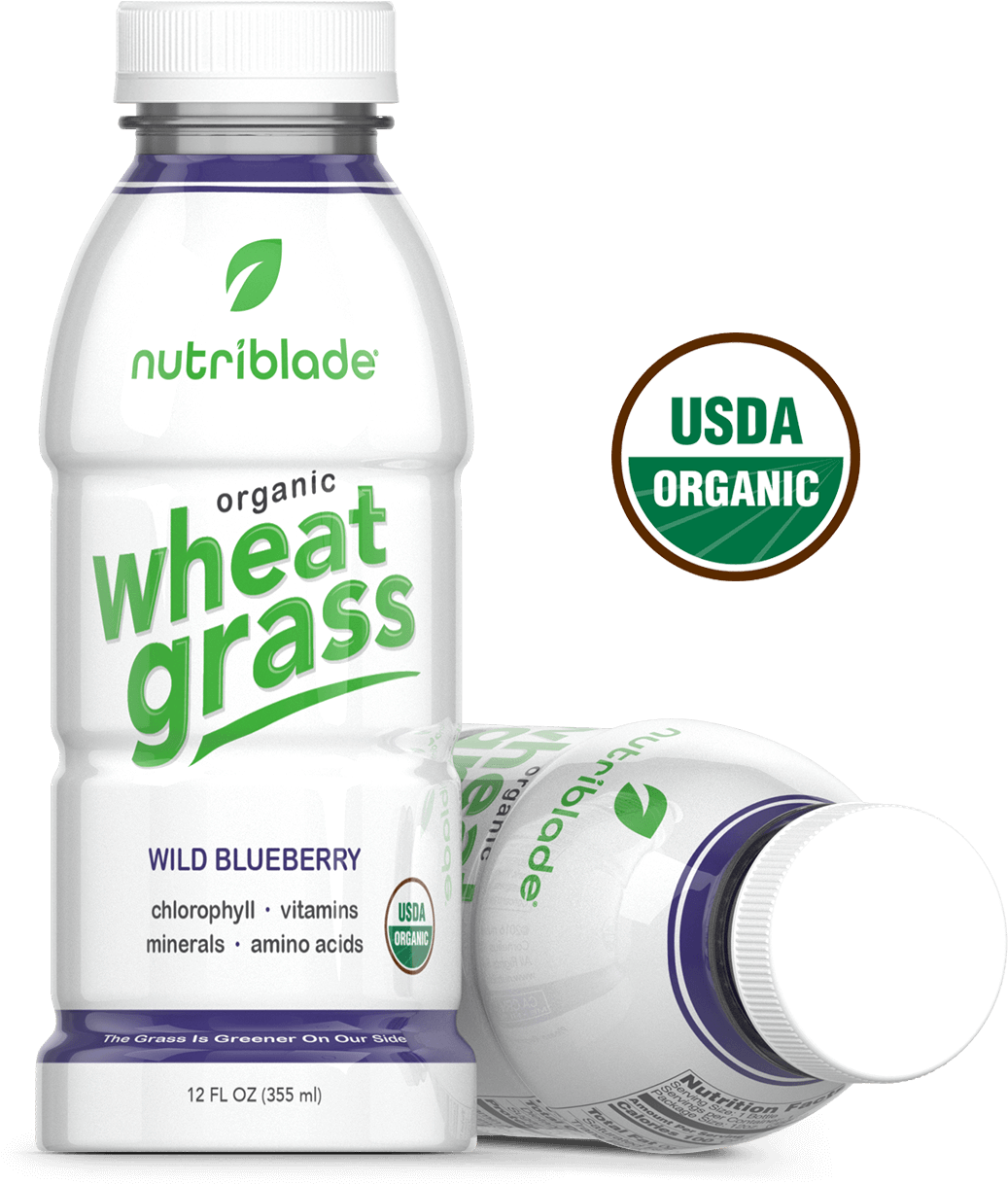 Wild-blueberry - Nutriblade Organic Wheat Grass Shots (1085x1227), Png Download