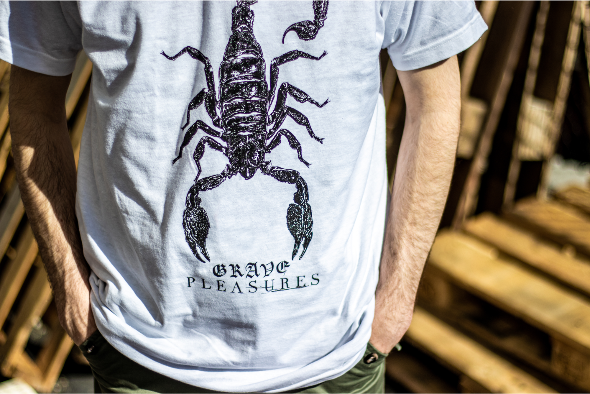 Grave Pleasures "scorpion" White - T-shirt (2000x2000), Png Download
