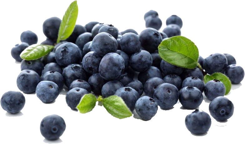 Buy Blueberry In Pakistan (831x532), Png Download