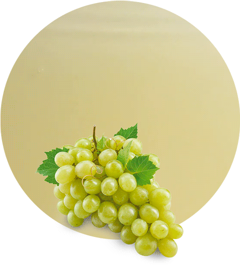 White Grape Concentrate - Grape (536x595), Png Download