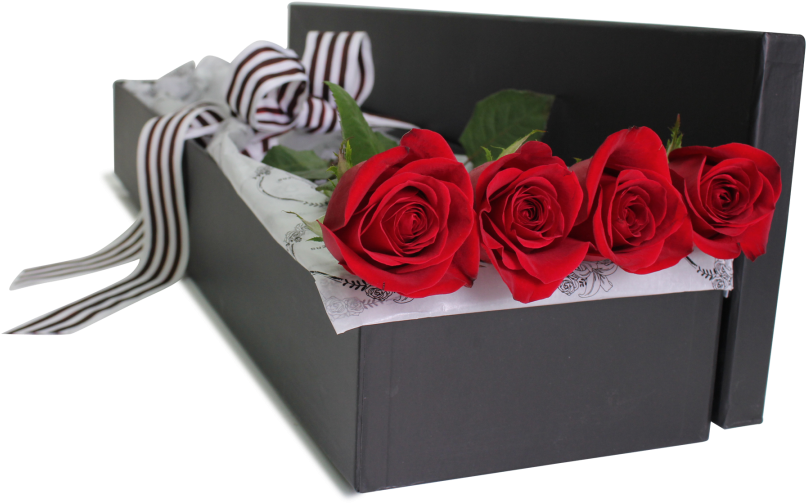 Boxed Red Roses 4 Stem - Garden Roses (900x584), Png Download