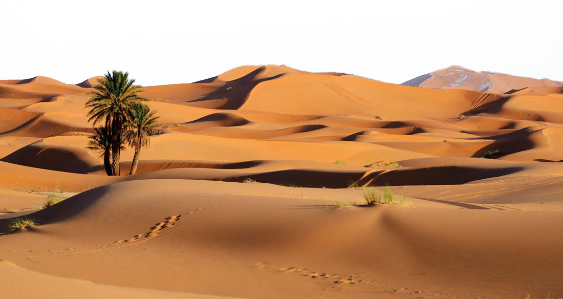 Desert Png Background Photo - Imagenes De Paisajes Desierto (1100x584), Png Download