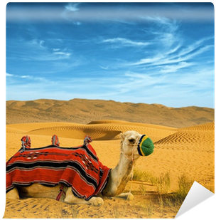 Tourist Camel On Sand Dunes In The Desert Wall Mural - Sahara (400x400), Png Download
