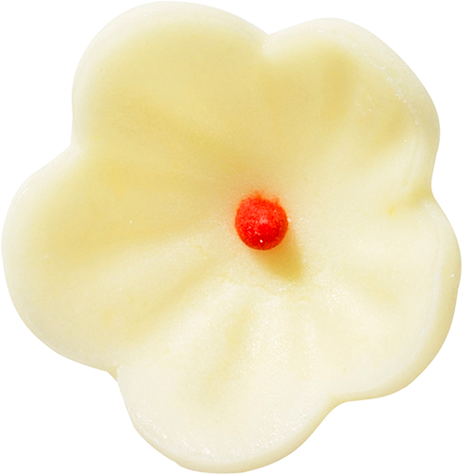 Almond (1000x1000), Png Download