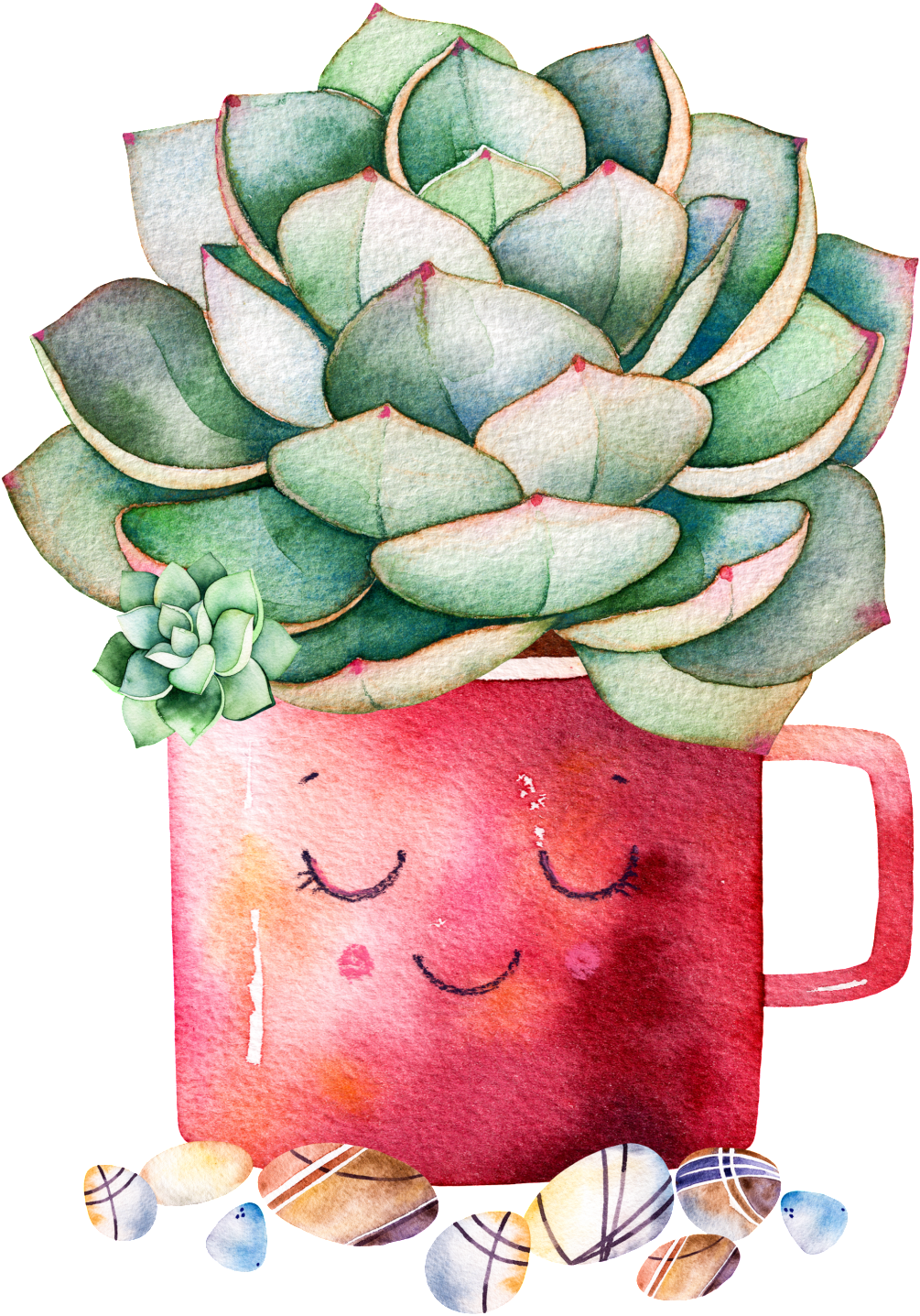 Lush Succulents Cartoon Transparent - Succulents Png Clip Art (1024x1452), Png Download