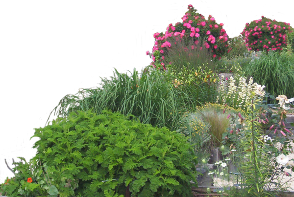 Garden Png High-quality Image - Summer Paradise (600x403), Png Download