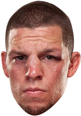 This Was Used If Anyone Wants It - Conor Mcgregor Head Png (324x408), Png Download
