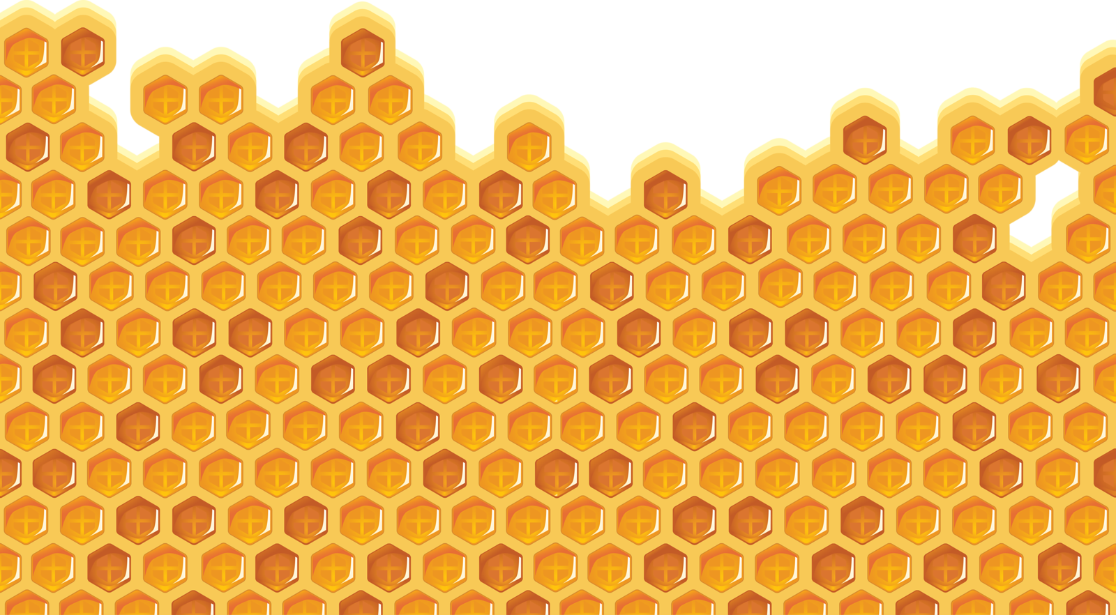 Bees🐝bears🐝honey - Bee (1600x882), Png Download