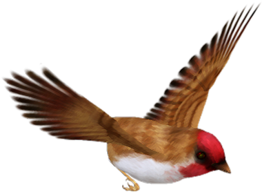 Bird Png - Анимация Птицы На Прозрачном Фоне (500x450), Png Download