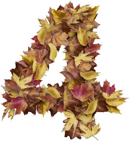 4 Number With Dry Leaves - Silver Maple (866x650), Png Download