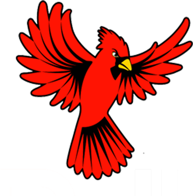 Cardinal - Cardinal Wings Open Clipart (656x674), Png Download