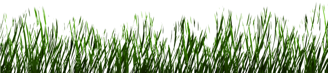 Grass Png 1 By Astoko - Lawn (1095x730), Png Download