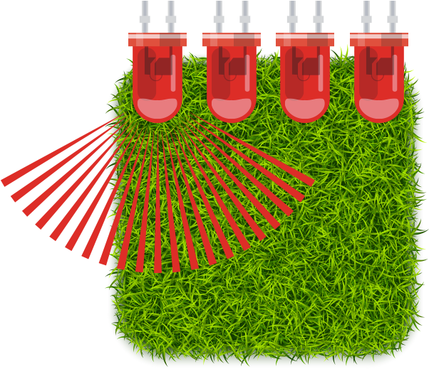 Phoenix Grass Lighting - Phoenix (1112x746), Png Download