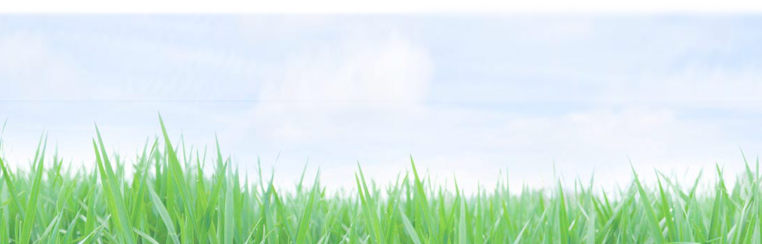 Disposing Of Lawn Clippings - Lawn Mower (1080x346), Png Download