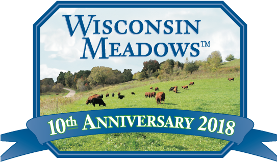 10th Anniversary Gathering - Miller & Sons Supermarket (542x340), Png Download