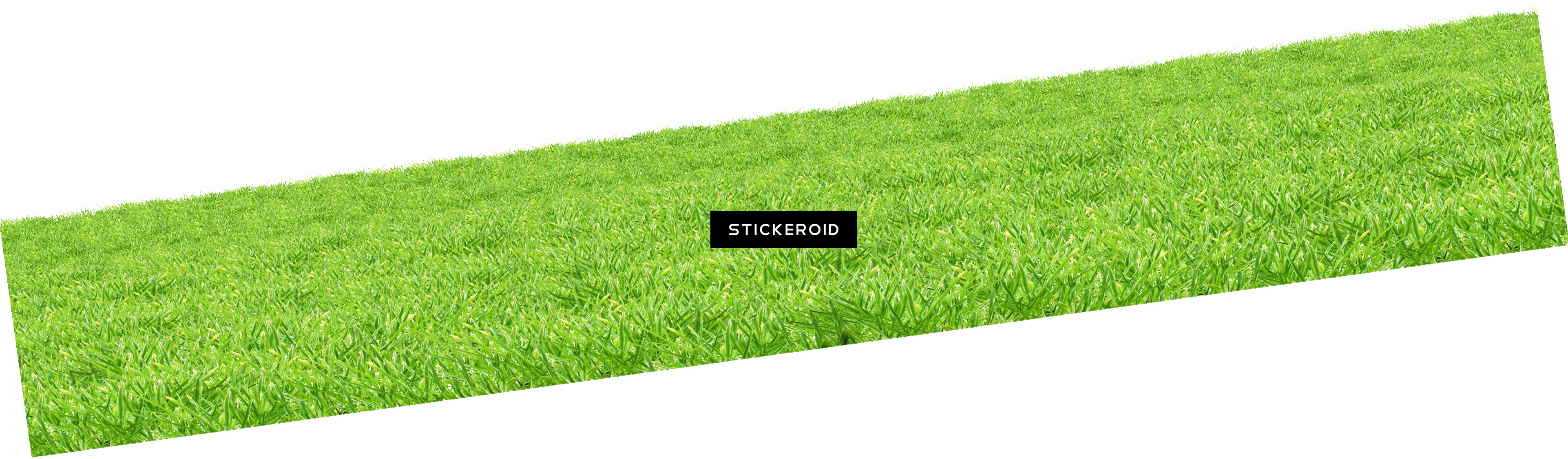 Grass Green Grass - Lawn (3845x1126), Png Download