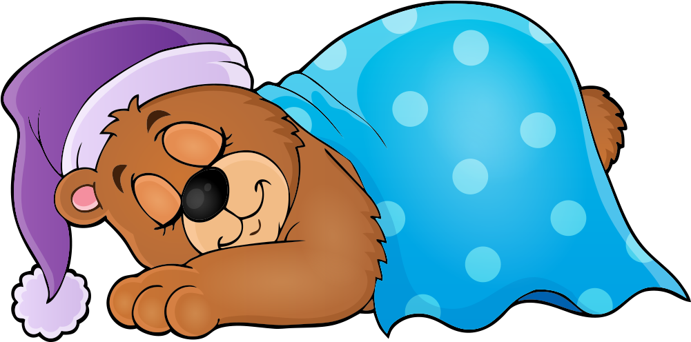 Bear Sleep Royalty-free Clip Art - Sleep Bear Cartoon (1001x496), Png Download