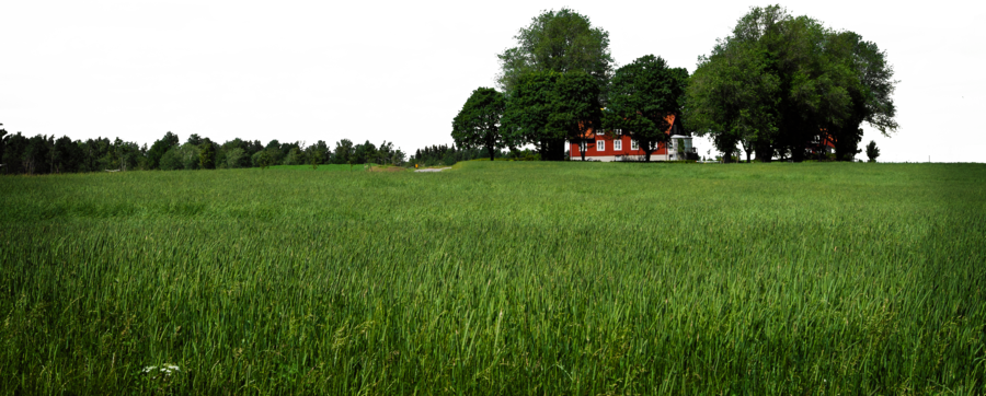 Landscape Png Image - Landscape Png (900x362), Png Download