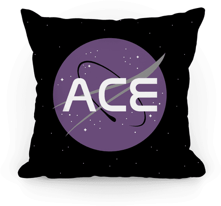 Ace Nasa Pillow - She's Beauty She's Grace She Ll Punch You In The Face (484x484), Png Download