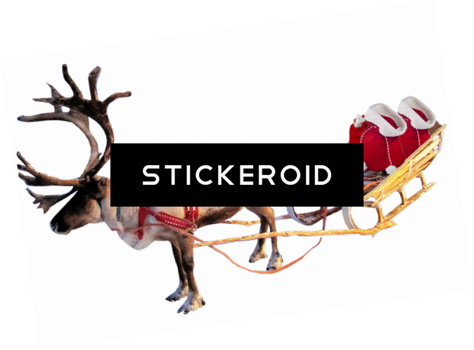 Santa Sleigh Holidays - Sleigh For Reindeer (674x498), Png Download