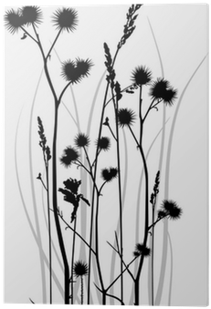 Vector Silhouette Of Grass Blades With Bur Acrylic - Art Print: Reynolds' Polka-dot Wildflowers I, 41x41cm. (400x400), Png Download